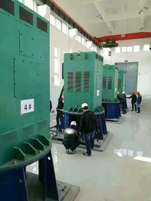北川某污水处理厂使用我厂的立式高压电机安装现场
